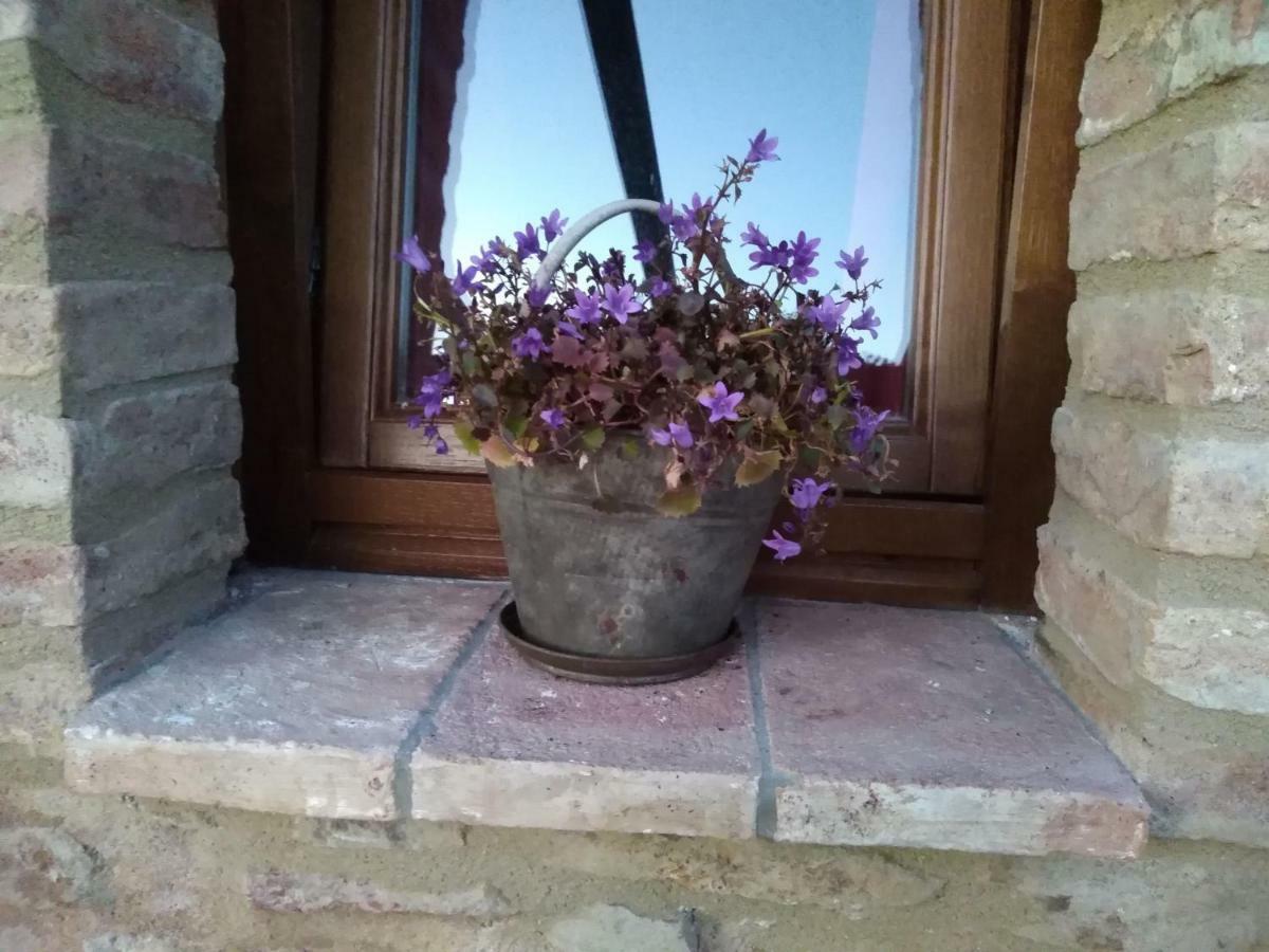 Bauernhof Poggio Monte