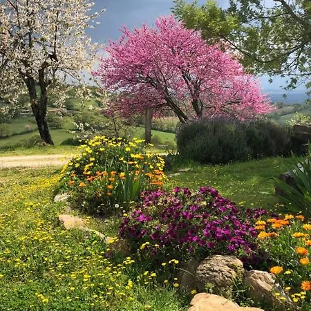 Agriturismo Poggio Monte Saturnia Exterior photo
