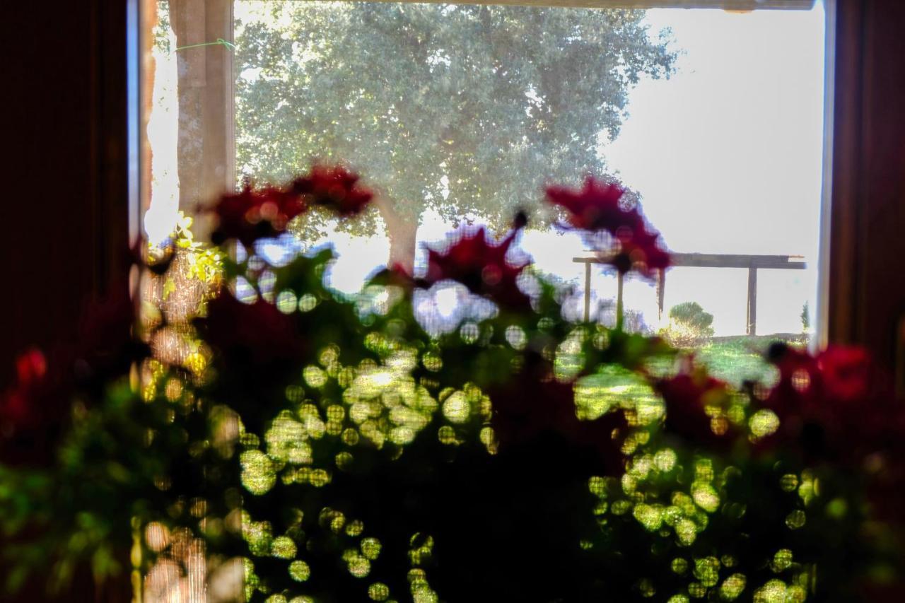 Poggio Monte * Saturnia